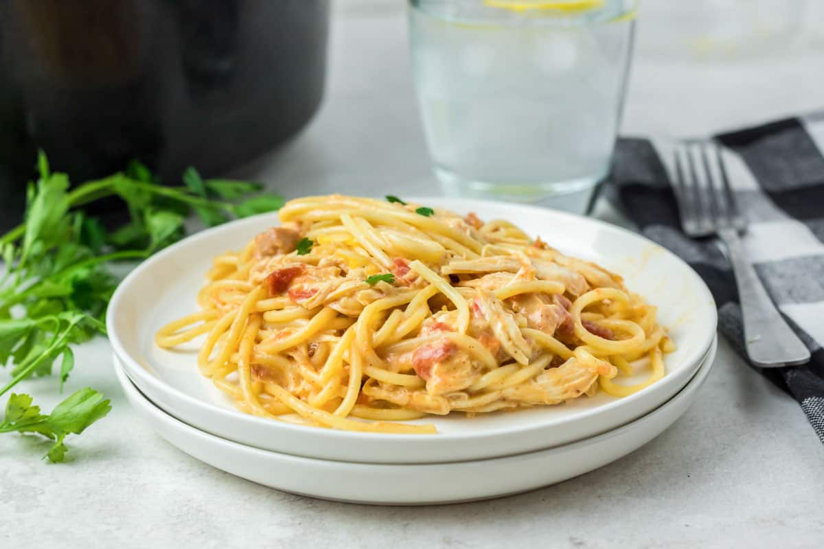 A serving of crockpot chicken spaghetti on a plate.